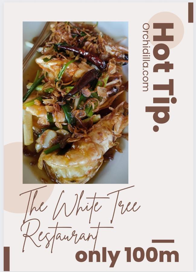 Orchidilla Residence Phuket Mai Khao Beach - Shaplus エクステリア 写真